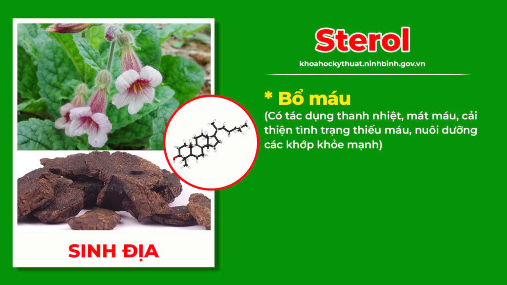 Thành phần hoá học Thoái hoá khớp 