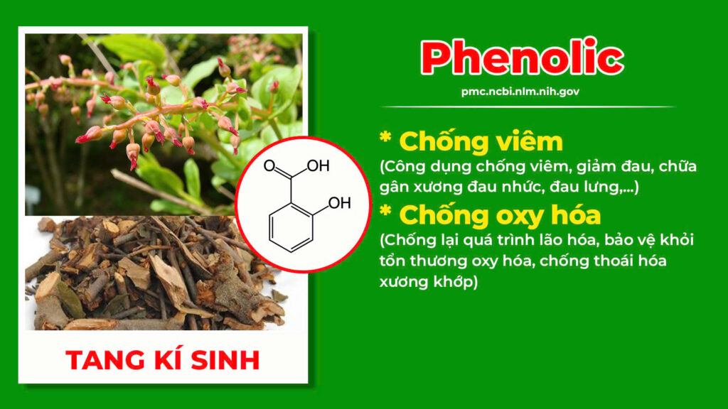 Thành phần hoá học Thoái hoá khớp 