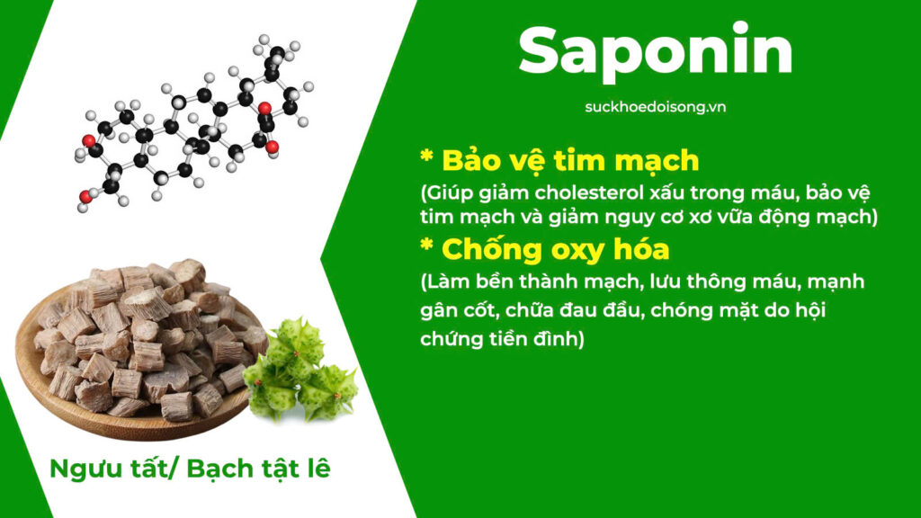 Thành phần hoá học Tiền Đình 