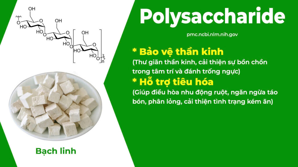 Thành phần hoá học Tiền Đình 