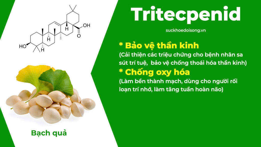Thành phần hoá học Tiền Đình 