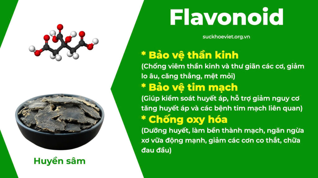 Thành phần hoá học Tiền Đình 