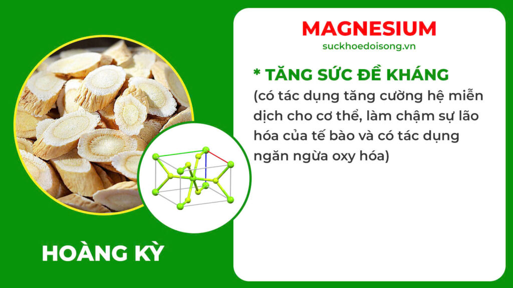 Thành phần hoá học Tiểu đêm