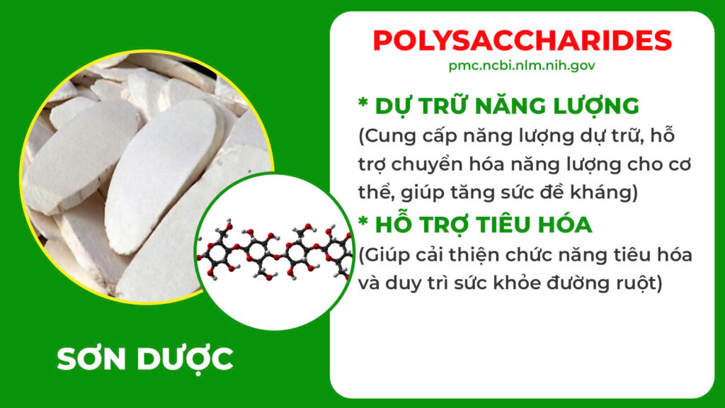 Thành phần hoá học Tiểu đêm
