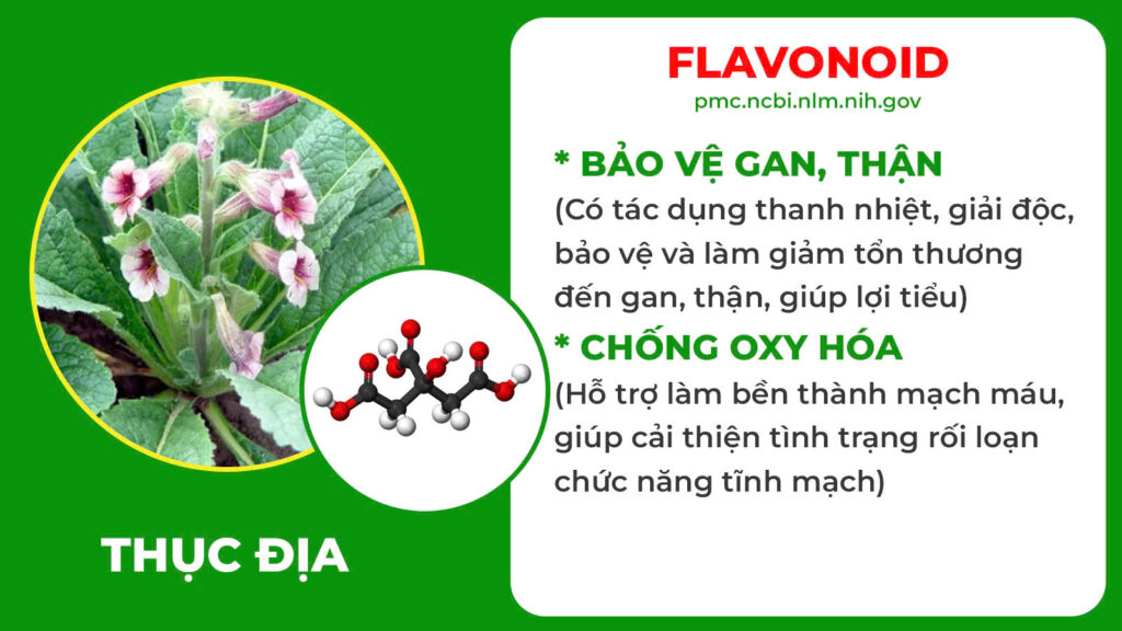 Thành phần hoá học Tiểu đêm