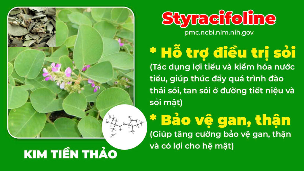 Thành phần hoá học Trạch tả 