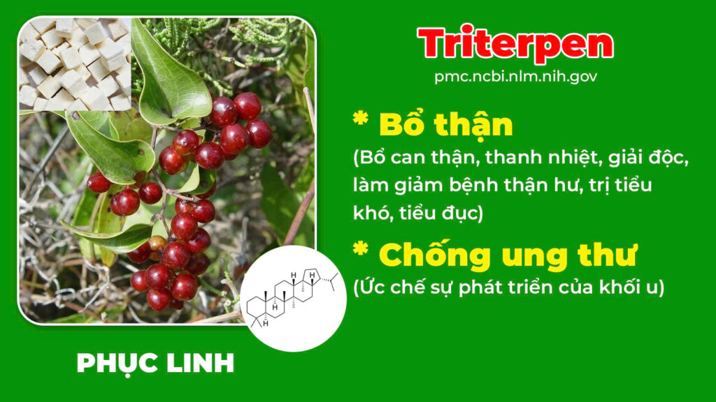 Thành phần hoá học Trạch tả 