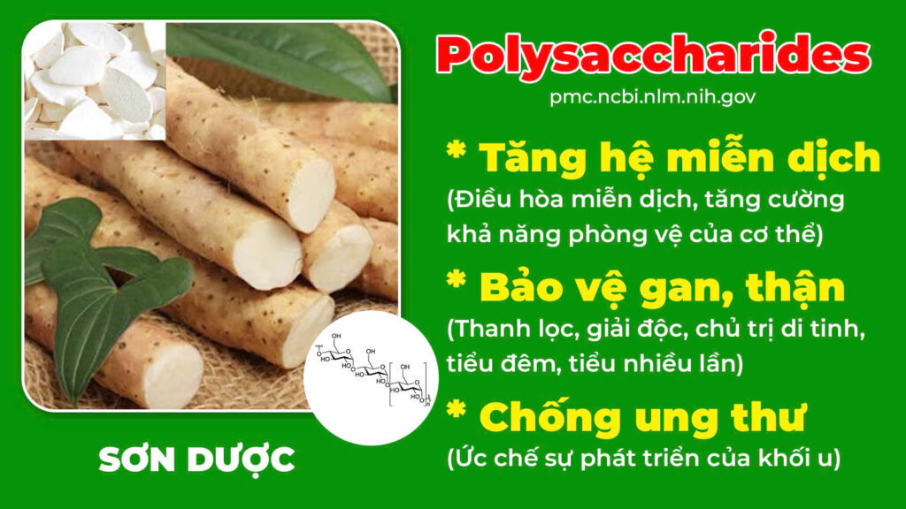 Thành phần hoá học Trạch tả 