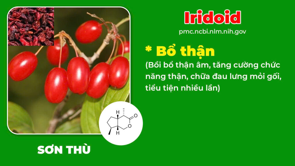 Thành phần hoá học Trạch tả 
