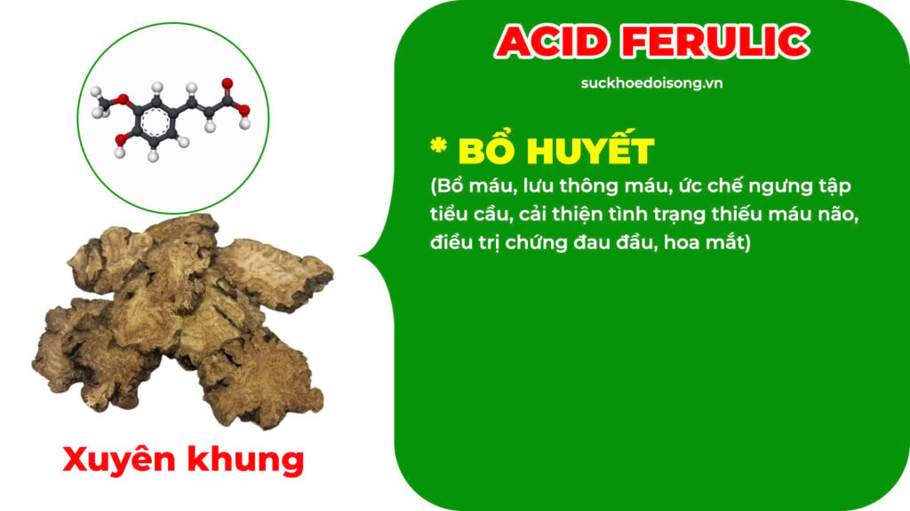 Thành phần hoá học Xuyên khung tế tân 