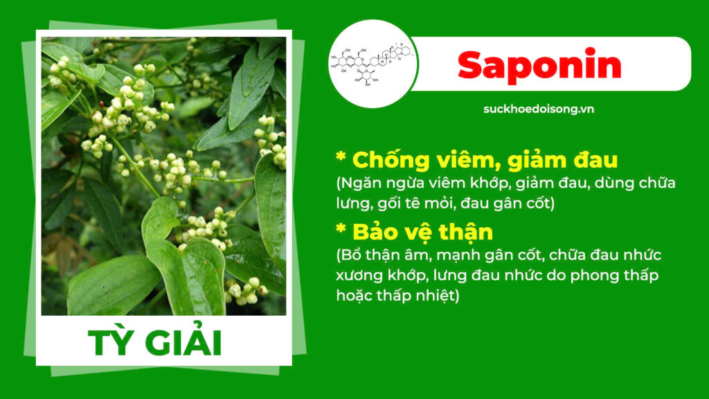 Thành phần hoá học Xuyên khung xương khớp 