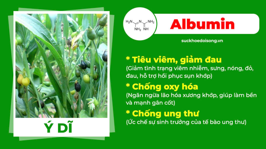 Thành phần hoá học Xuyên khung xương khớp 