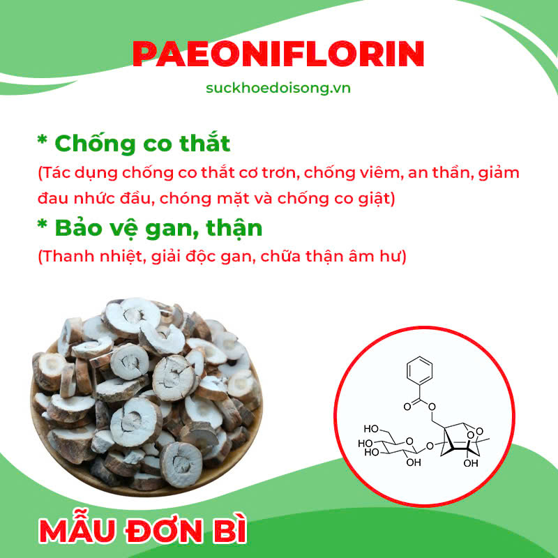 Thành phần hoá học cốm mệnh môn thuỷ 