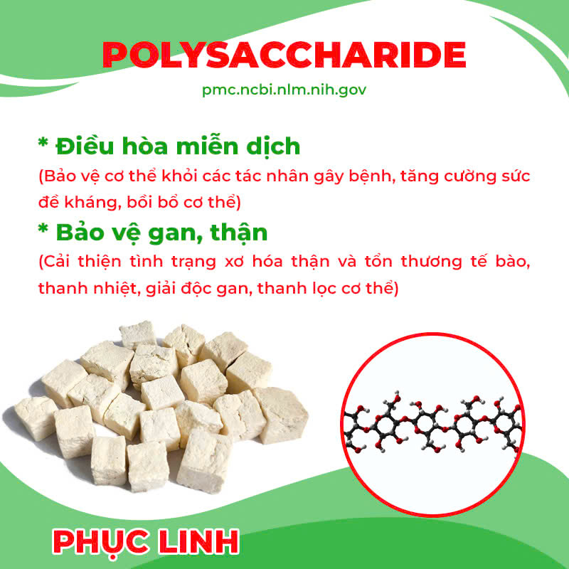 Thành phần hoá học cốm mệnh môn thuỷ 