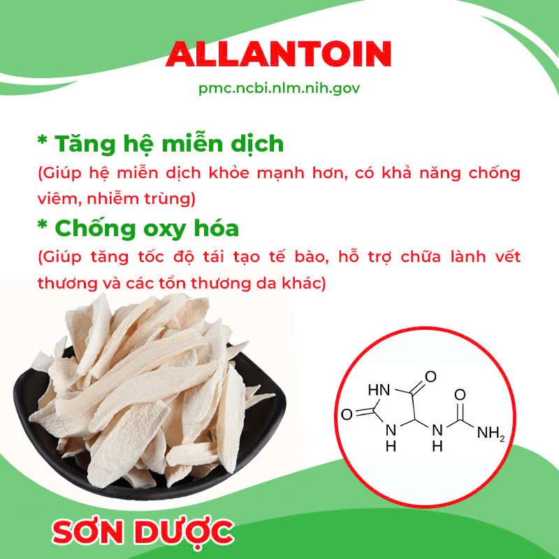 Thành phần hoá học cốm mệnh môn thuỷ 