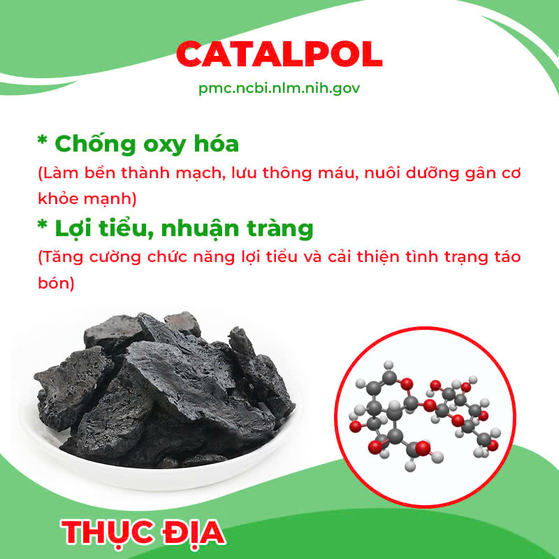 Thành phần hoá học cốm mệnh môn thuỷ 