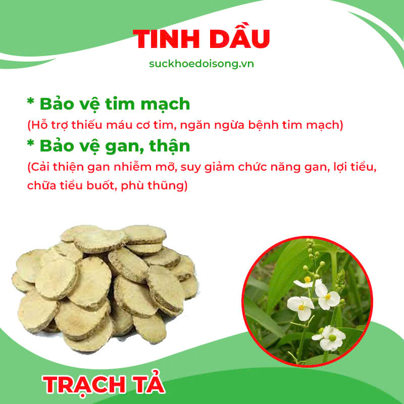 Thành phần hoá học cốm mệnh môn thuỷ 