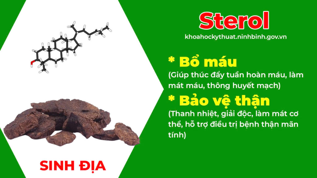 Thành phần hoá học giải nhiệt