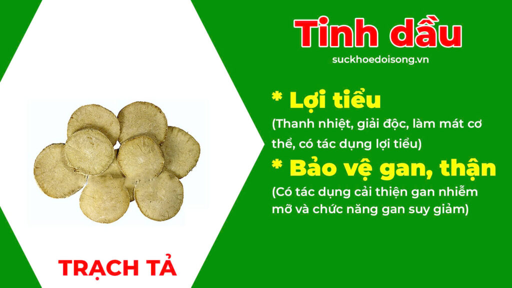 Thành phần hoá học giải nhiệt