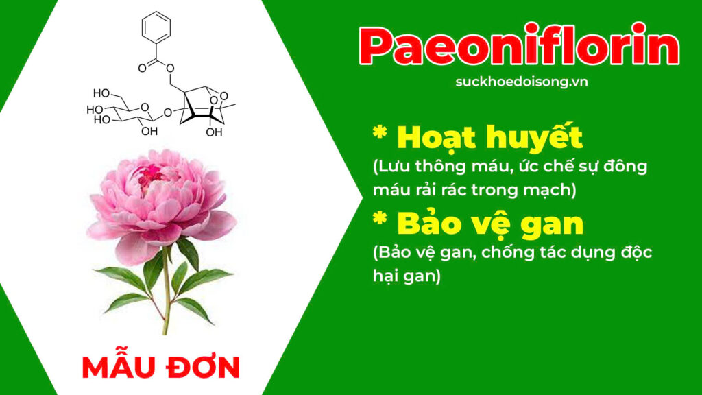 Thành phần hoá học giải nhiệt