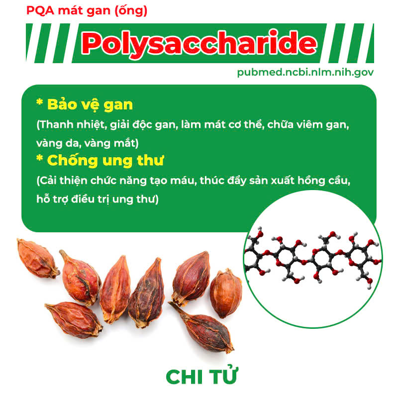 Thành phần hoá học mát gan ống