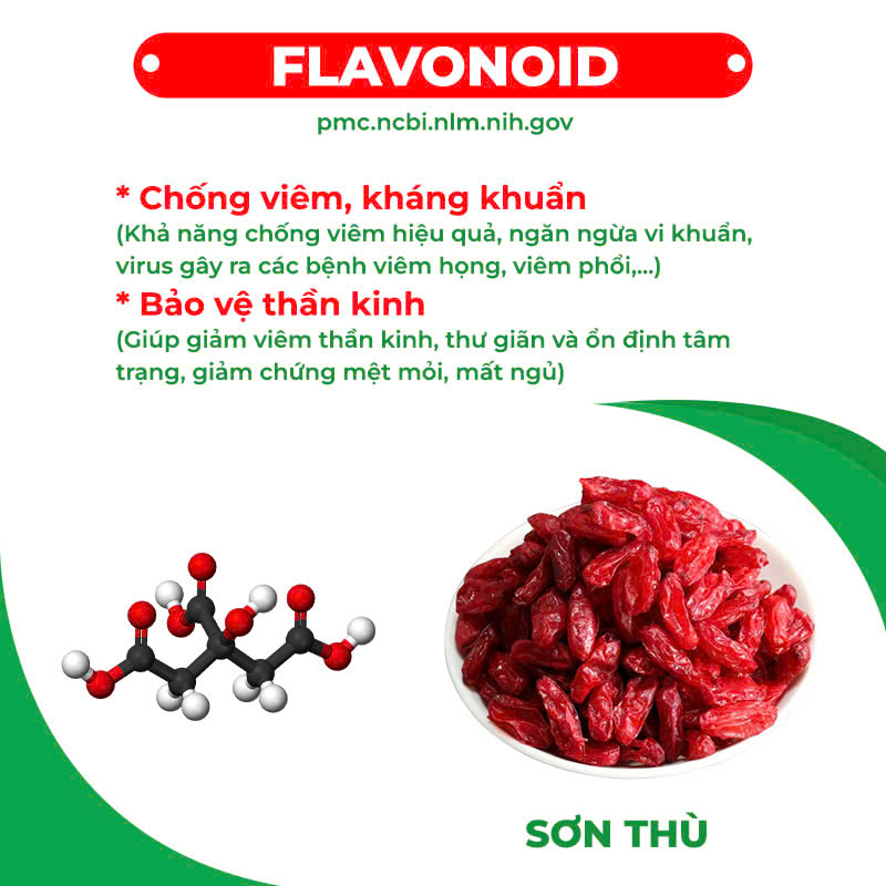 Thành phần hoá học nhân sâm bổ phổi 