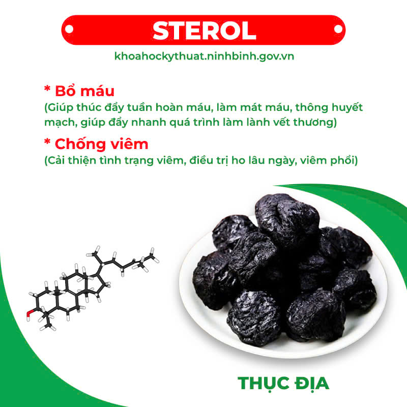 Thành phần hoá học nhân sâm bổ phổi 