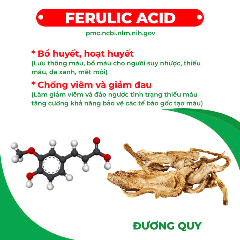 Thành phần hoá học nhân sâm bổ phổi 