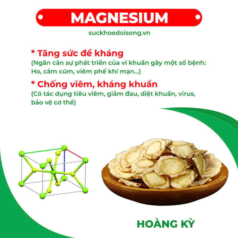 Thành phần hoá học nhân sâm bổ phổi 