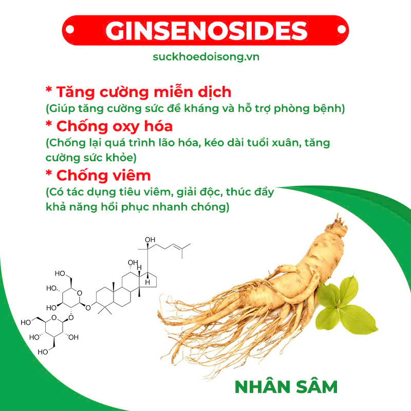 Thành phần hoá học nhân sâm bổ phổi 