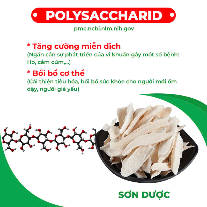 Thành phần hoá học nhân sâm bổ phổi 