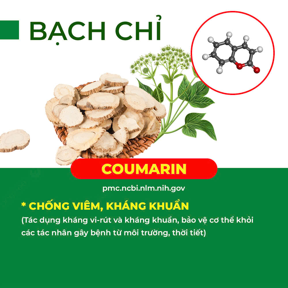 Thành phần hoá học tăng sức đề kháng 