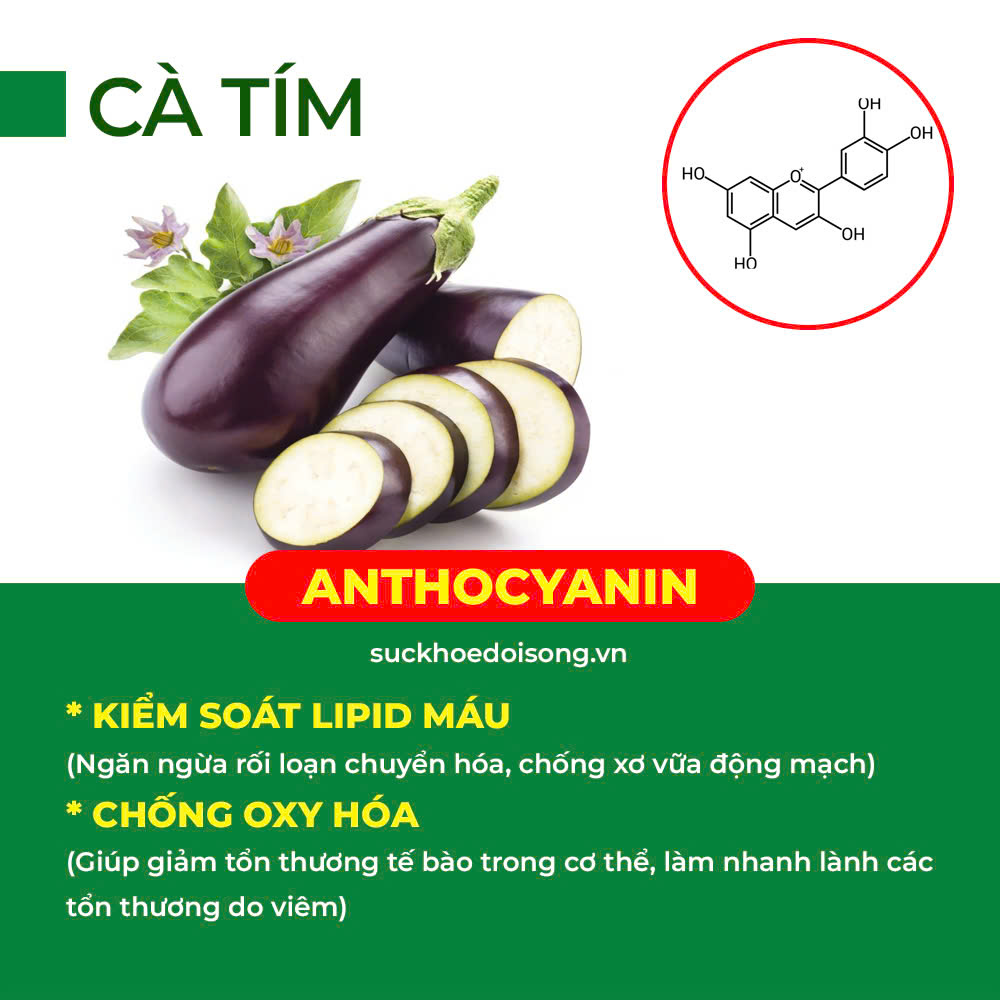 Thành phần hoá học tăng sức đề kháng 