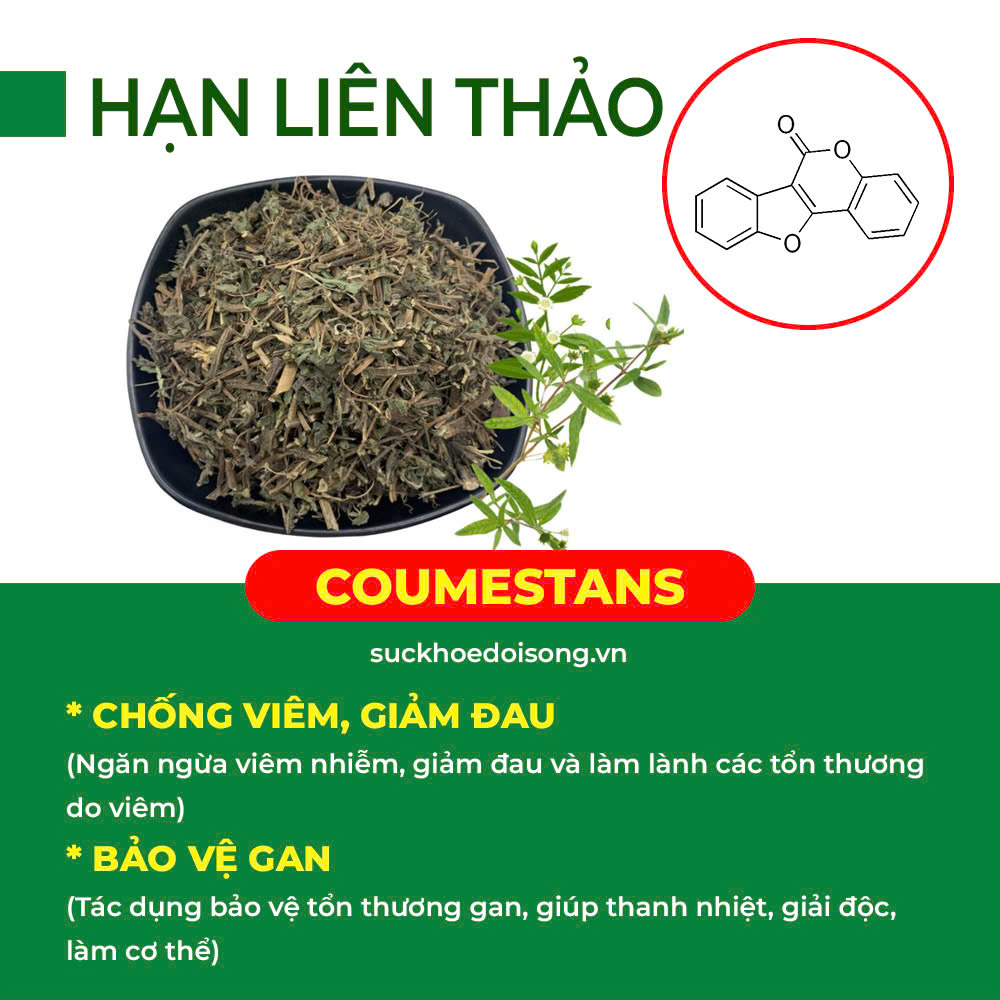 Thành phần hoá học tăng sức đề kháng 