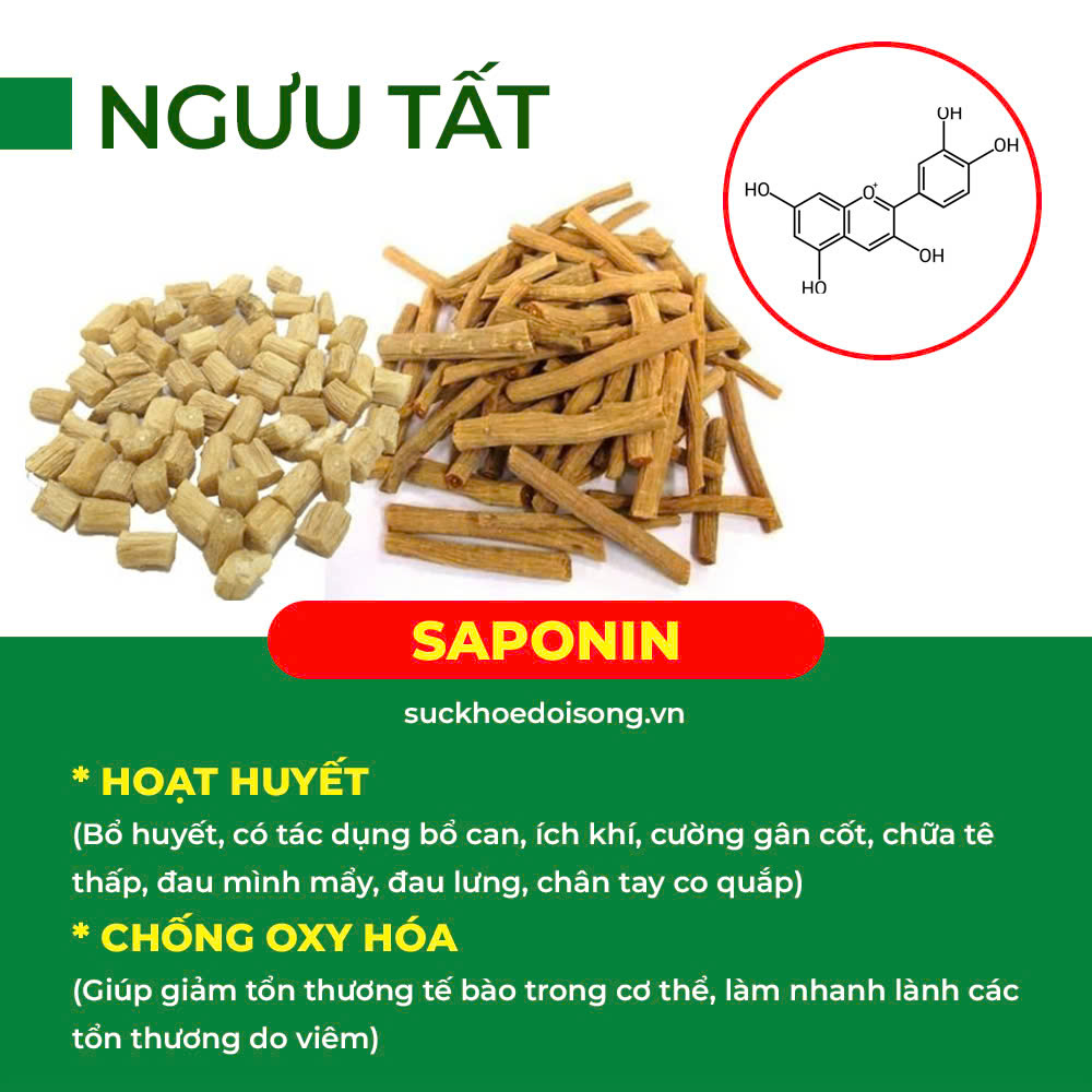 Thành phần hoá học tăng sức đề kháng 