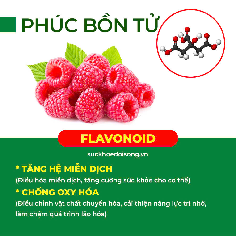 Thành phần hoá học tăng sức đề kháng 