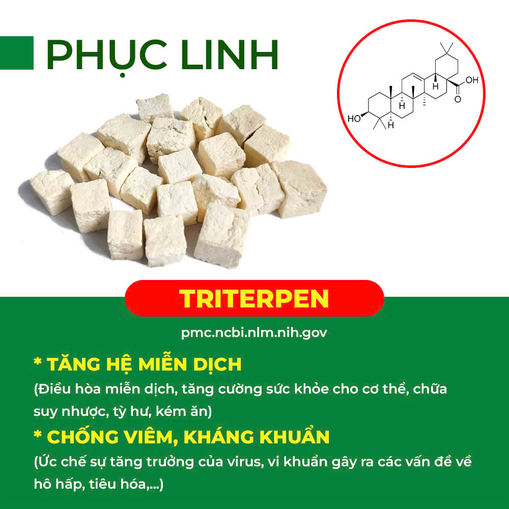 Thành phần hoá học tăng sức đề kháng 