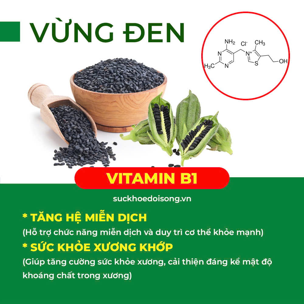 Thành phần hoá học tăng sức đề kháng 