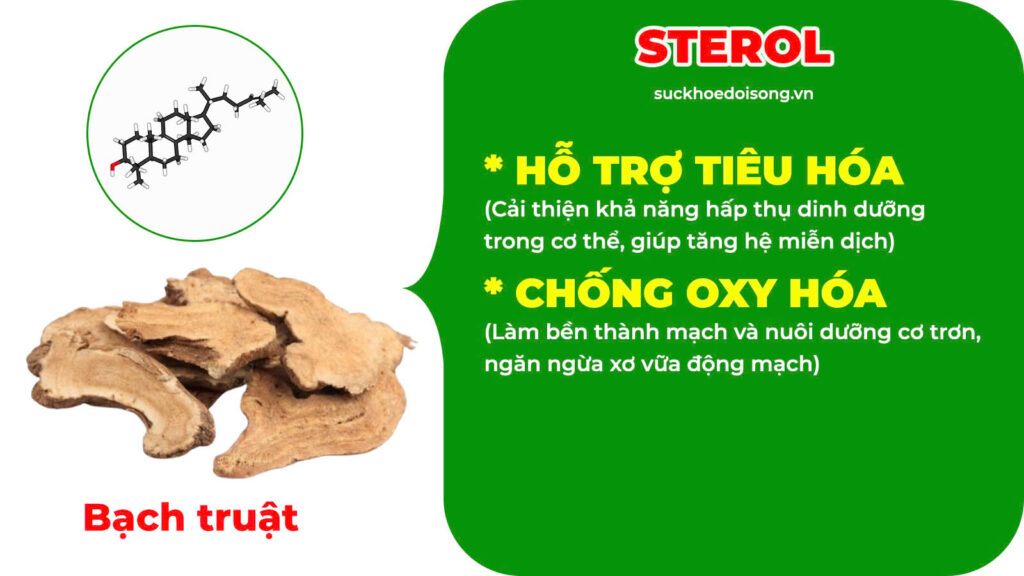 Thành phần hoá học Xuyên khung tế tân 