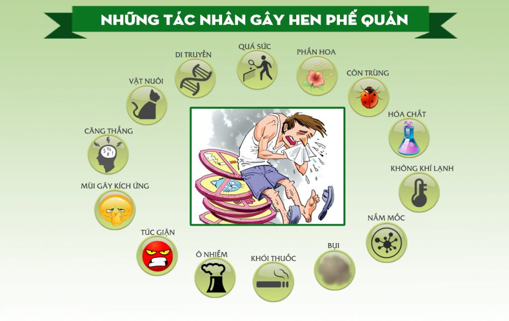 nguyên nhân gây nên hen phế quản