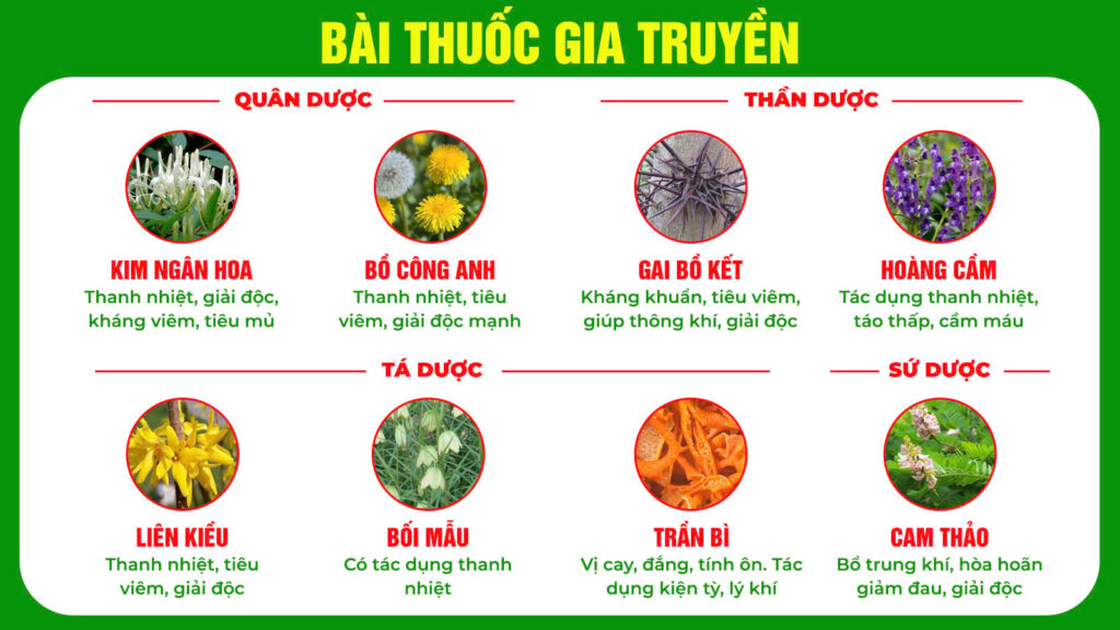 Bài thuốc gia truyền hoàng ngân kiều