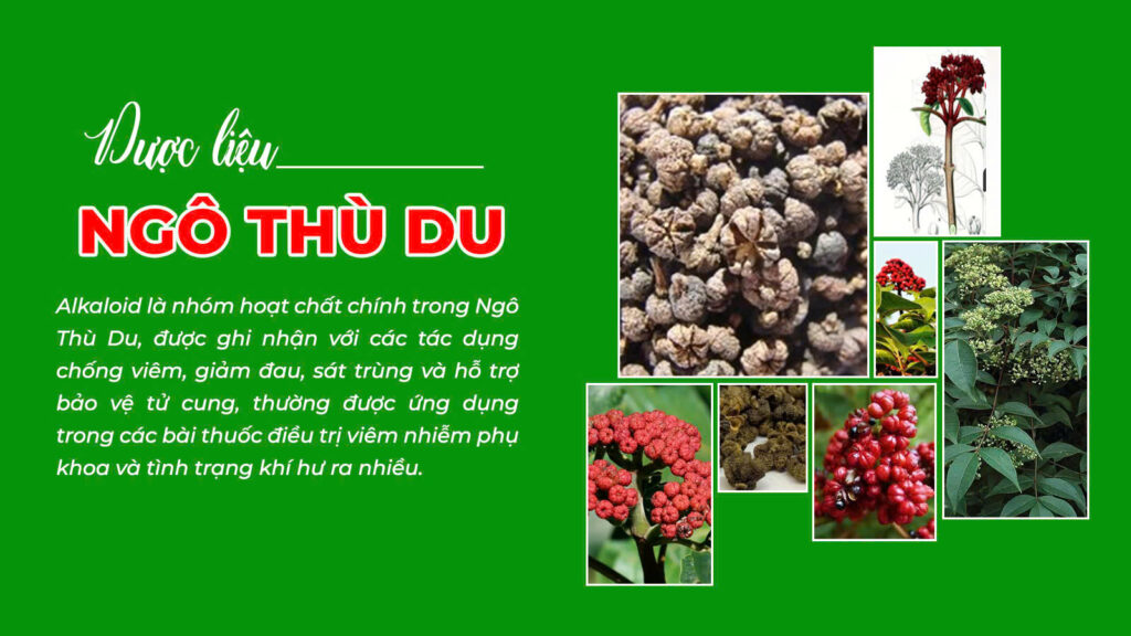 Câu chuyện Ngô thù du