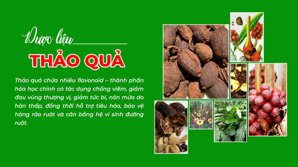 Câu chuyện an dạ dày