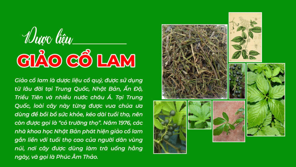 Câu chuyện dáng thanh