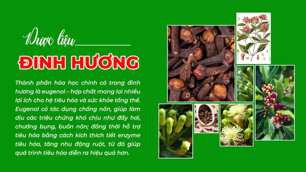 Câu chuyện đinh hương tai hồng