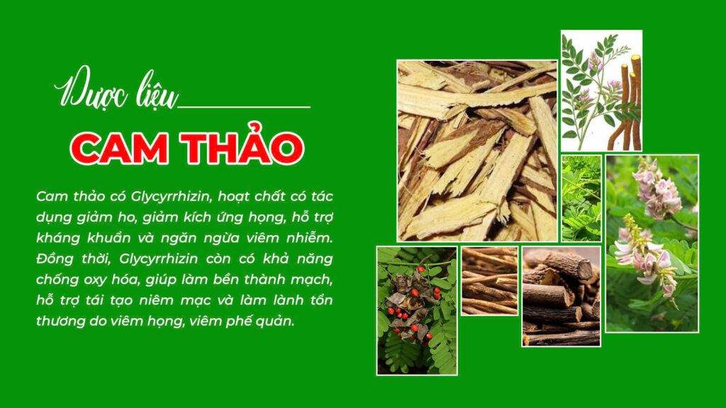 Câu chuyện dược liệu viên nén phế quản