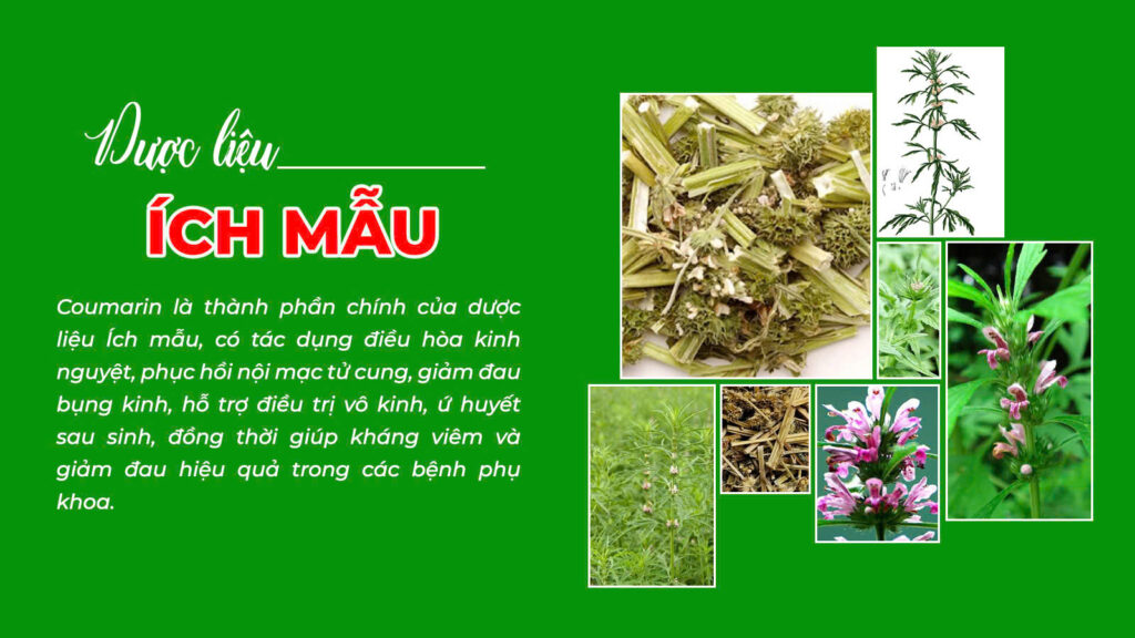 Câu chuyện ích mẫu