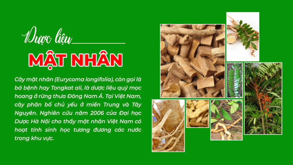 Câu chuyện mật nhân
