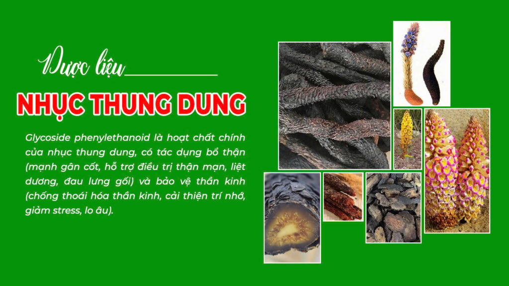 Câu chuyện nhục thung dung