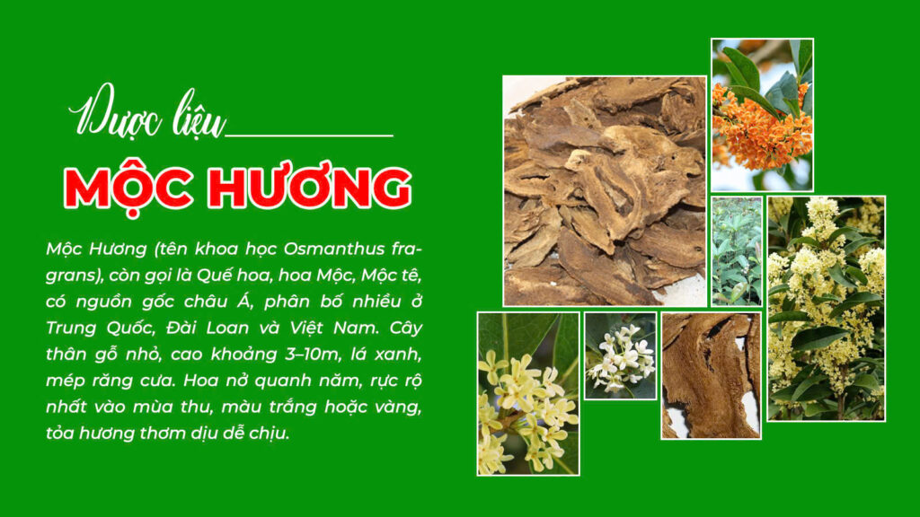 Câu chuyện ôn dương hành tuỷ